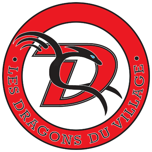 logo dragontrans 500