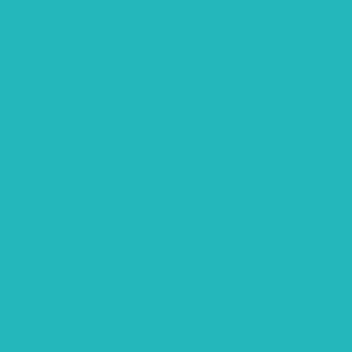 Turquoise 500x500 1